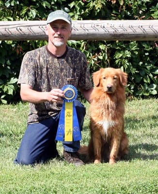 waters edge retrievers dog sting after finishing his ukc trial