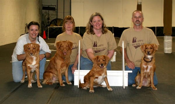 waters edge dog center flyball team and their dogs